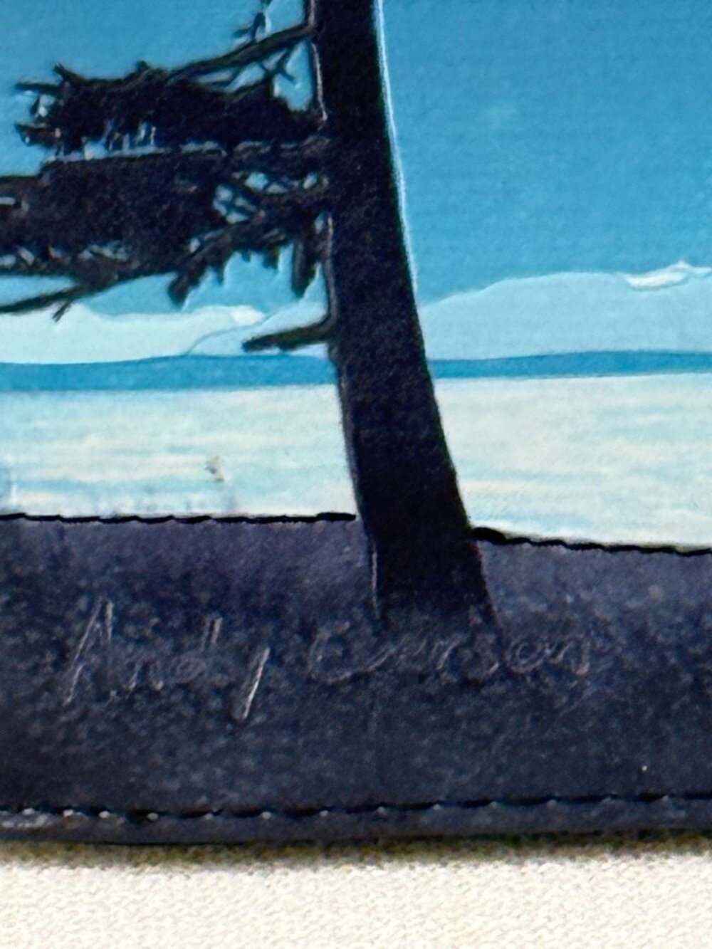 Andy Everson Wallet Medicine Grounds - Picture 3 of 13